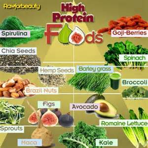 High Protein Food Sources