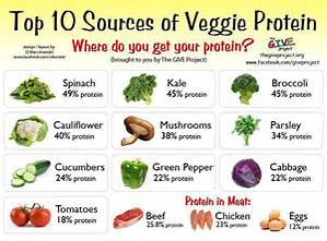 Top Ten Protein Food Sources