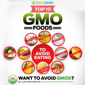 Top 10 GMO Foods To Avoid