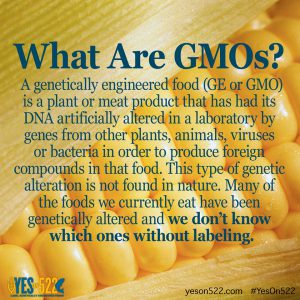 What Are GMOs